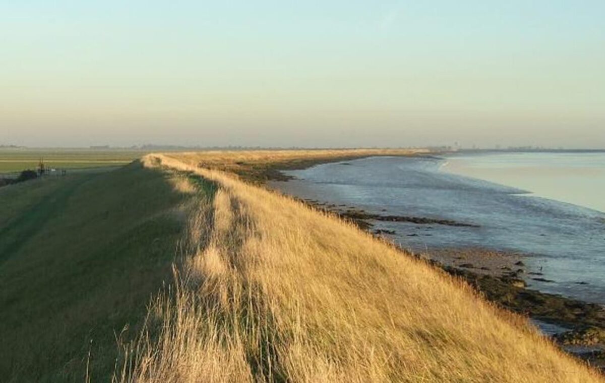 Wallasea Island: alla scoperta della riserva naturale più grande d'Europa