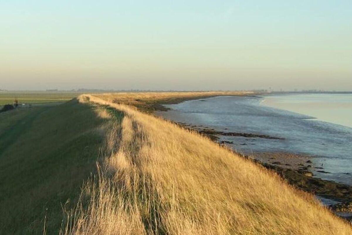 Wallasea Island: alla scoperta della riserva naturale più grande d'Europa