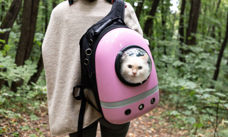 zaino per gatti