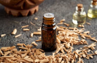 L'huile essentielle de bois de cèdre et ses nombreuses propriétés