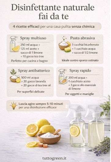 Infografica con ricette di disinfettante naturale fai da te con limone, aceto, bicarbonato e oli essenziali