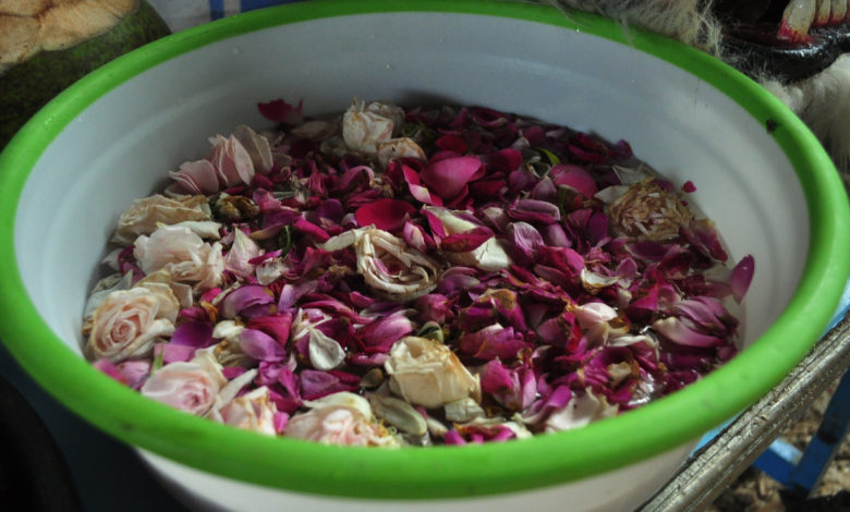 acqua di san giovanni