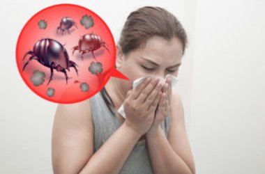 Acari della polvere: invisibili a occhio nudo, possono provocare problemi di salute anche seri