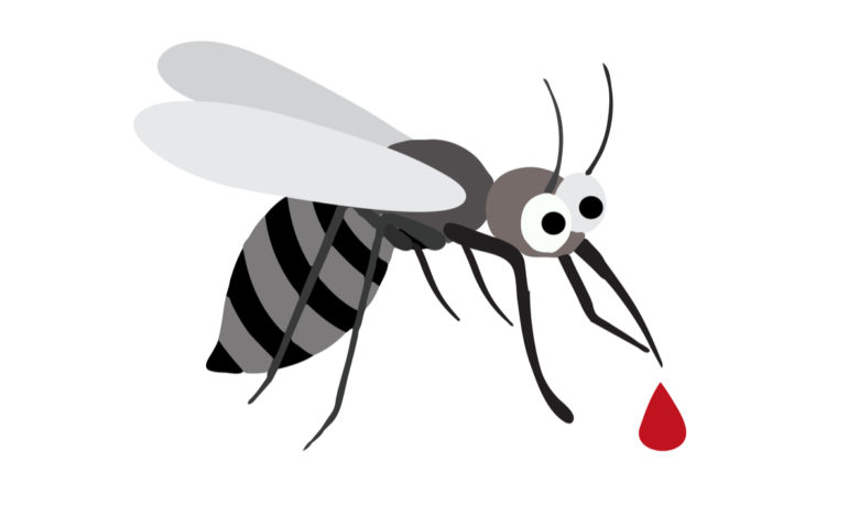 Puntura di zanzara tigre