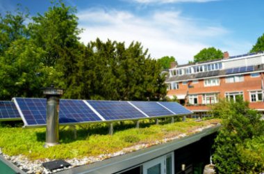 Giardini pensili, la soluzione moderna per un’oasi verde in centro città