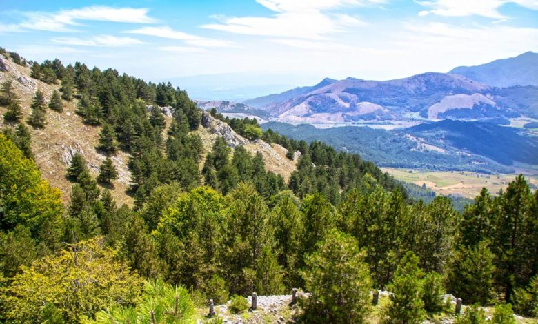 parco nazionale del pollino