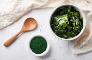 L'algue laminaire : le substitut du sel aux multiples vertus