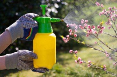Il sapone molle di potassio: il prodotto naturale da usare al posto di insetticidi e pesticidi