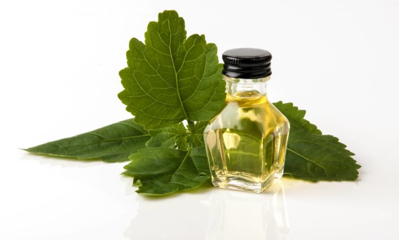olio essenziale di patchouli