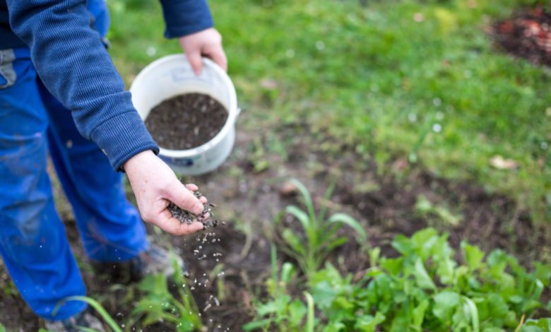 azoto in agricoltura