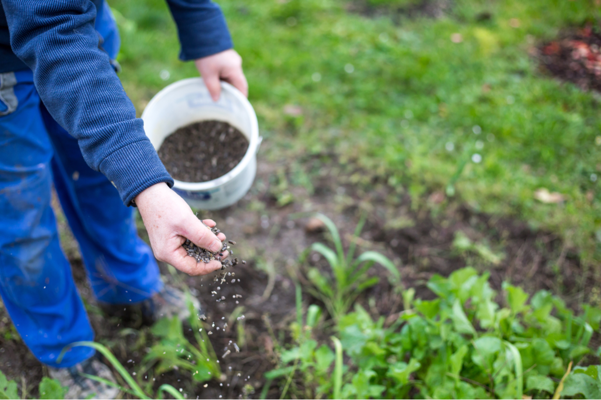 GREEN ORO COMPLEX AKI 24kg – Fertilizzante Autunnale Senza Azoto Per Piante Da Giardino, Prati E Alberi Da Frutto