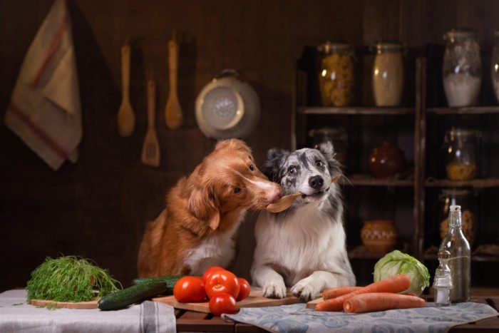 légumes que les chiens peuvent manger