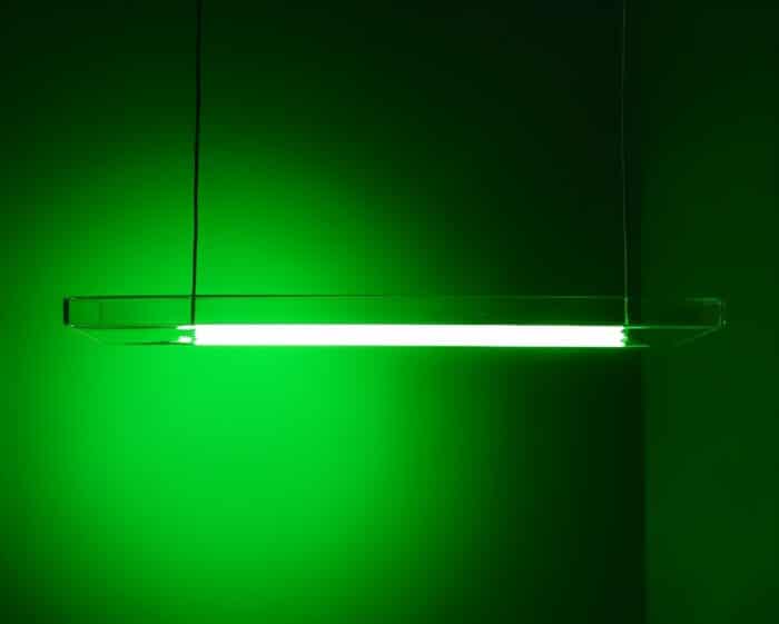 lampada che va a alghe