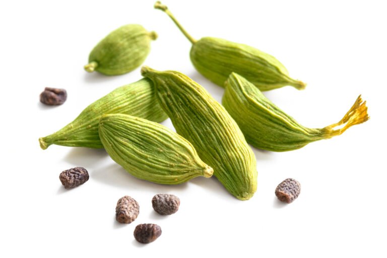 Cardamomo proprietà, utilizzi in cucina e in fitoterapia Cardamomo proprietà, utilizzi in cucina e in fitoterapia