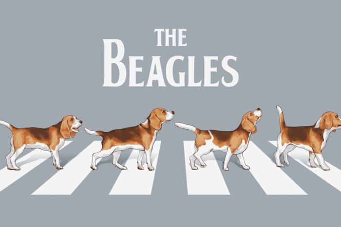 Les Beagles
