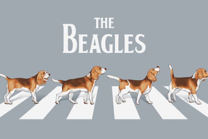 The Beagles