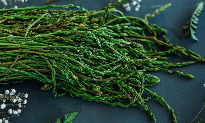 Asparagi selvatici