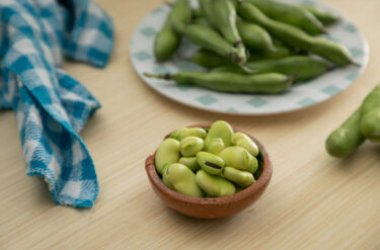 Tout savoir sur les fèves : leurs propriétés bénéfiques et nutritives