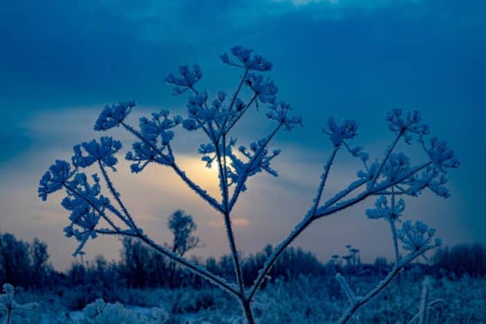 solstice d'hiver