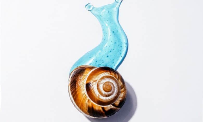 Tutto sulla bava di lumaca e i suoi utilizzi in cosmetica