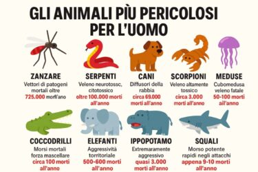 Squali pericolosi? I 10 animali più pericolosi