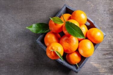 Mandarancio quali sono le differenze dal mandarino?
