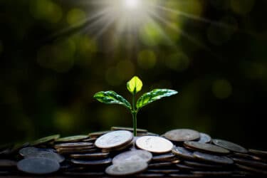 Finanza sostenibile: gli investimenti che fanno bene anche all’ambiente