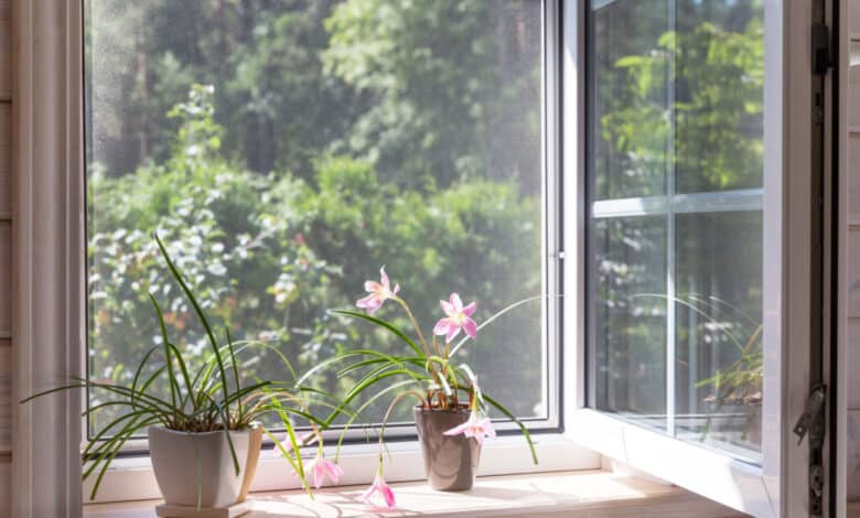 zanzariera magnetica alla finestra