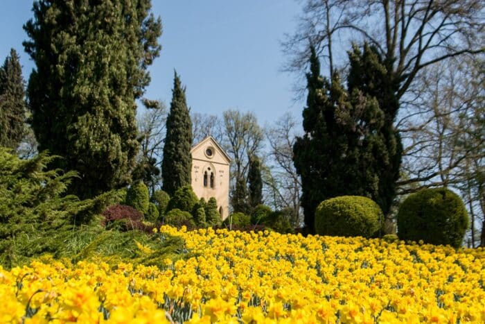 Vista dell'Eremo dal campo di tulipani della manifestazione Tulipanomania
