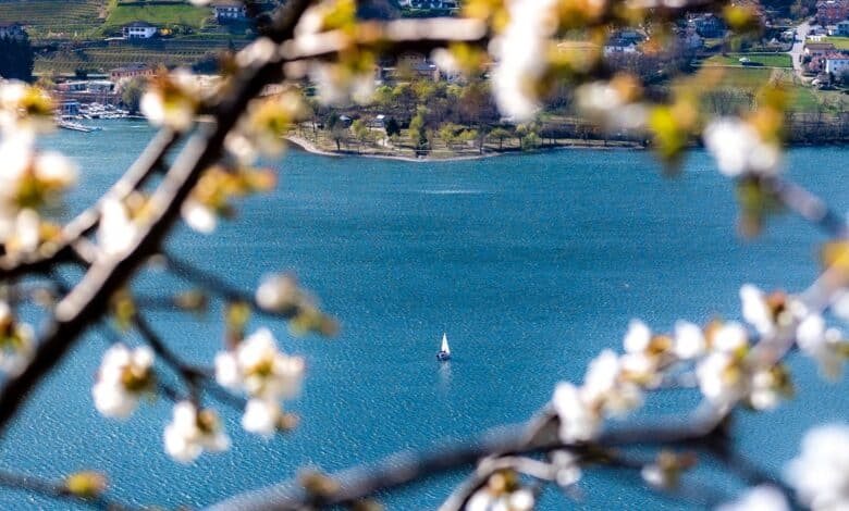 primavera in valsugana
