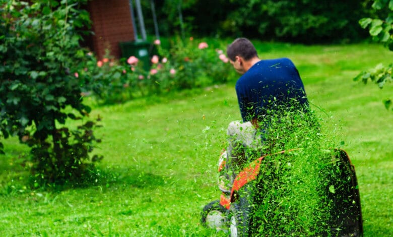 trattorino tagliaerba