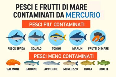 Mercurio nei pesci: da dove viene?