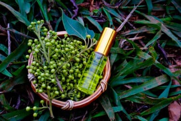 L'huile essentielle de Litsea, une huile au parfum frais d'agrumes