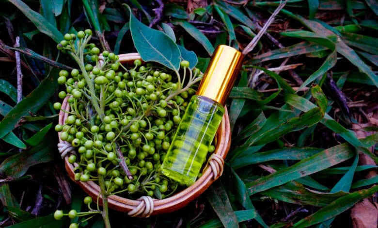 olio essenziale di litsea cubeba