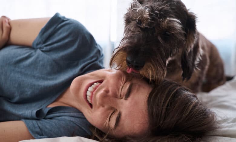 perché i cani leccano