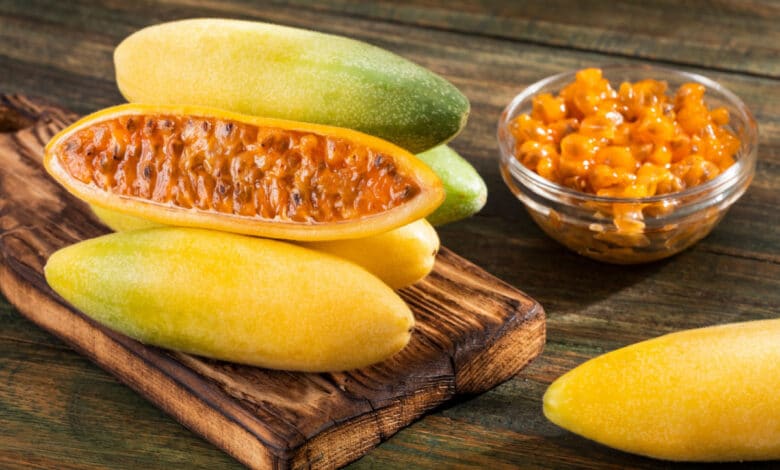 curuba o Banana Passion Fruit