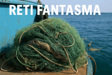 Il problema delle reti da pesca abbandonate in mare