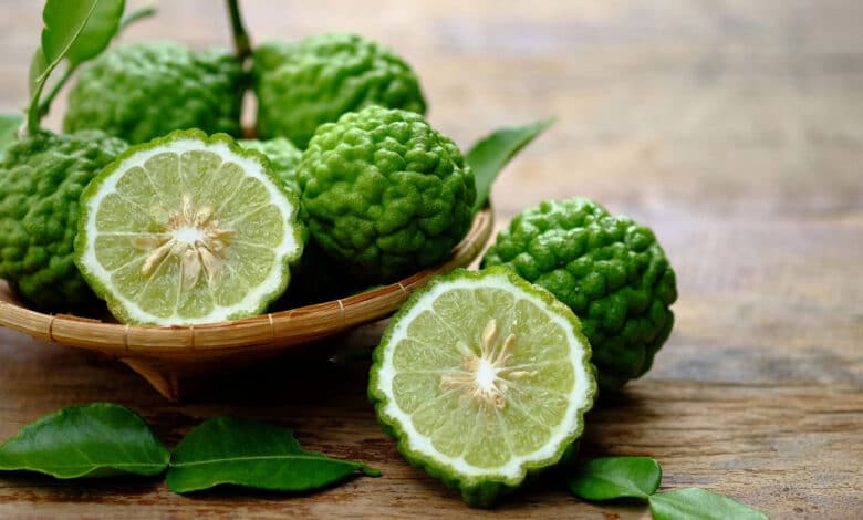 kaffir lime