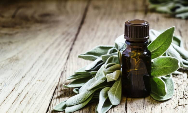 olio essenziale di salvia