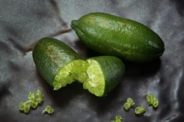 Connaissez-vous les citrons verts ?  Un super agrume pour ses propriétés gustatives et nutritionnelles