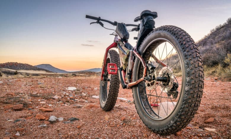 fat bike