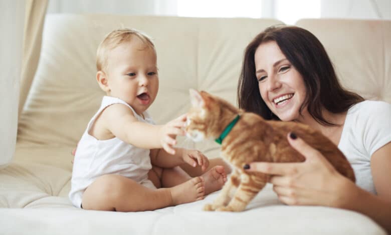 come calcolare l'età del gatto