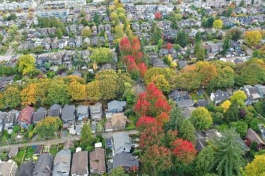 I 5 effetti misurabili di un albero in città che sono misurabili: aria pulita, comfort e risparmio energetico