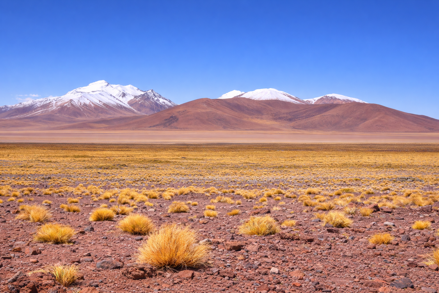 Paesaggio del deserto di Atacama in Cile con terreno arido, vegetazione sparsa e montagne sullo sfondo in uno degli ambienti più estremi e inospitali della Terra