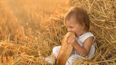 World Bread Day giornata mondiale del pane