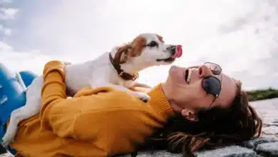 Perché i cani si leccano il naso
