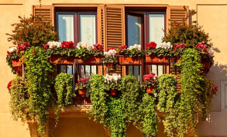 Pianta rampicante con fiori