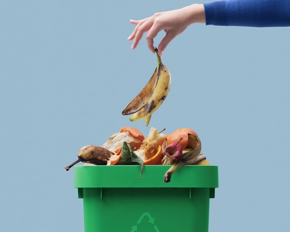 raccolta differenziata umido