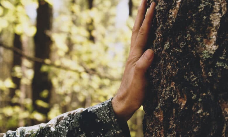 Storia della ecologia