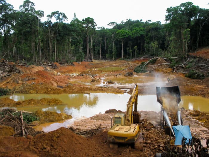 Deforestazione: conseguenze e problemi connessi